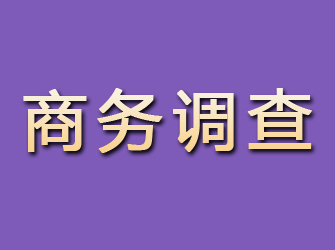 黄梅商务调查